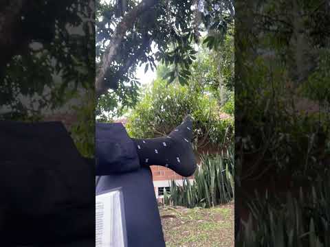 Que la paz de Cristo gobierne nuestros corazones 🙏🏾📖.