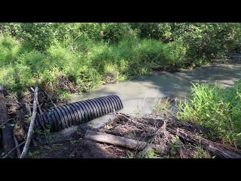 How a Beaver Deceiver Works in East Brunswick, NJ