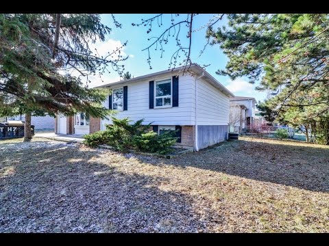 72 Geneva Crescent Brampton, Shashi Bhushan Sharma