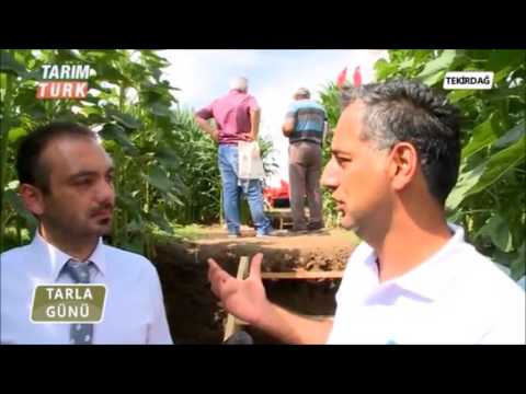 2016 Kareevli Tarım Fuarı