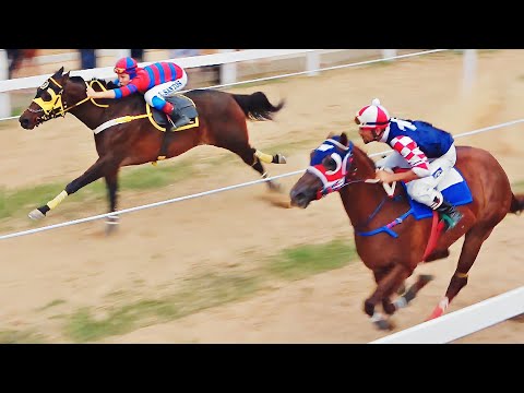 FINAL SENSACIONAL do I GP TM Turf & Haras Rancho Americano