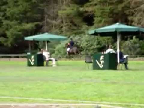 Telgangren Oirschot 2003/2004