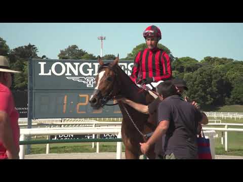 211120 c03 AG Legislativa