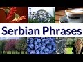 Serbian Lesson 1 - Greeting in Serbian 