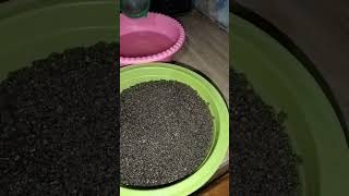 Download lagu Easy way to cook instant tiwul mp3