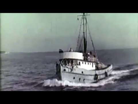 Za ribara - Klapa Nostalgija