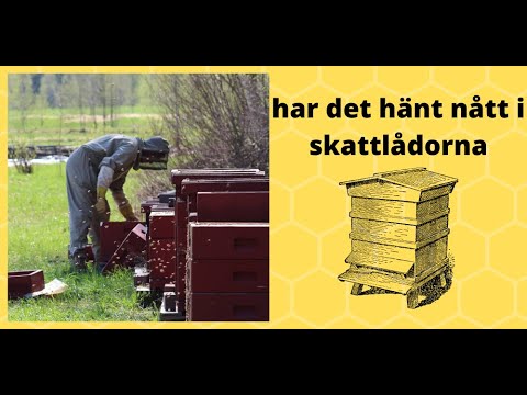 Vi tittar i skattlådorna.