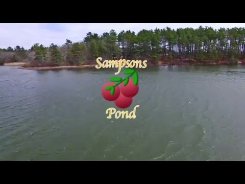 Sampsons Pond  Carver, MA