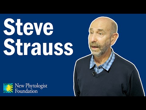 In conversation with Steve Strauss