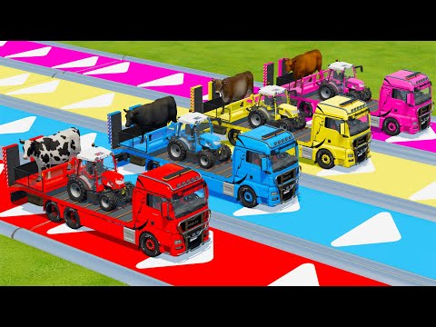 TRANSPORTING COWS & MINI RIGI TRAC TRACTORS WITH VOLVO AND MAN TRUCKS - Farming Simulator 22