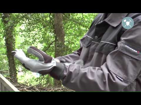 YouTube-Video garten-gartenmaschinen-holzspalter