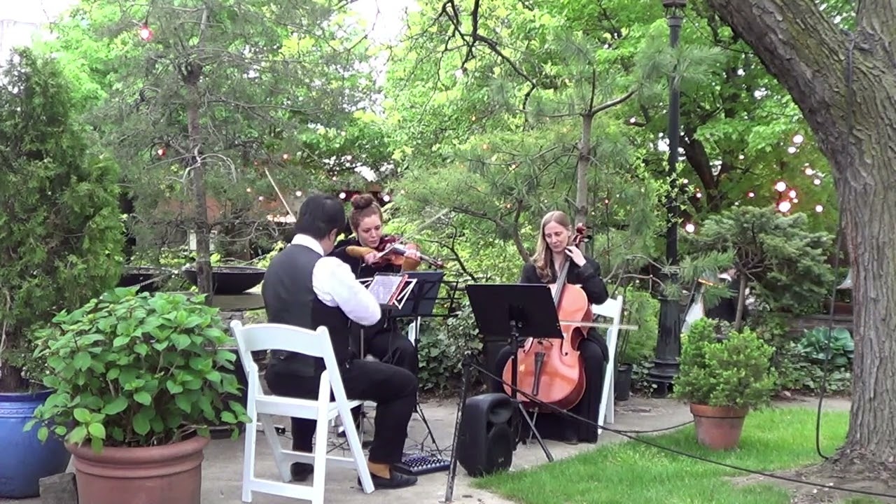 Promotional video thumbnail 33 for Xinou Wei Strings