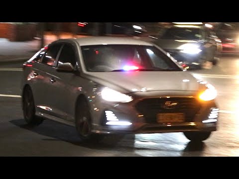 [NSW Police] - Sydney City Proactive Crime Team Code Red