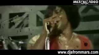 James Brown vs Bob Marley - I Got You Jammin Good (Djs From Mars vs Dj Surda Bootleg)