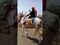 Uttar Kumar New Movie 2025 Dhakad Chora New Short Haryanvi Film All Haryanvi Movie Uttar Kumar