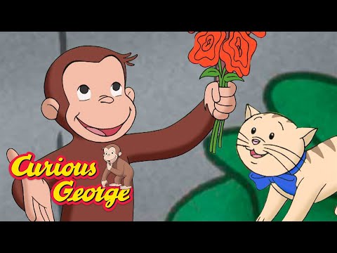 What's an Allergy? 🐵 Curious George 🐵 Kids Cartoon 🐵 Kids Movies