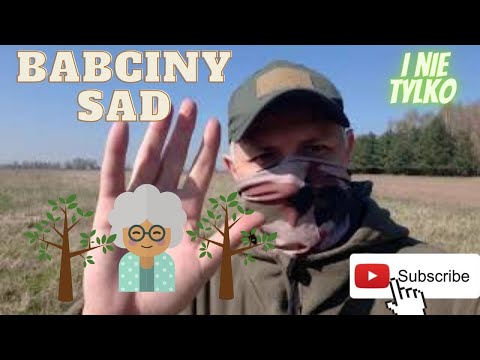 #93 Wykopki z rutusem . Babciny sad i nie tylko ...