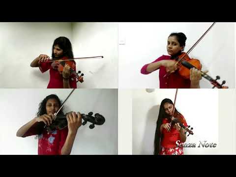 Sanda Horen Horen | Violin Cover | Senza Note