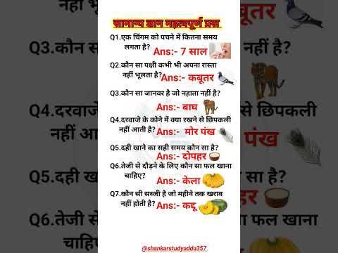Interesting Top 20 GK Questions💥//GK Questions ✍️//GK Question and Answer #gk #gkfacts #gkinhindi🤓💯