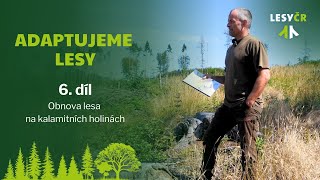 Adaptujeme lesy – 6. díl