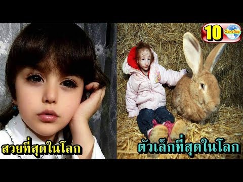 อายุความอ่อนแอ วางพรูผลค้อน