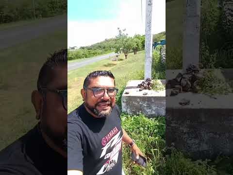 La Cruz de cerro largo en Matagalpa 