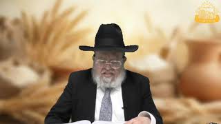 דף היומי בחצי שעה – מסכת מנחות דף נ”א