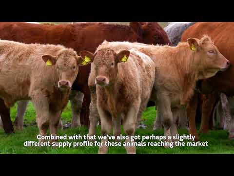 Factors affecting cattle trade