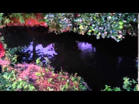 Nachtangeln am kleinen Bach #14