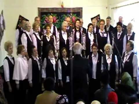 Corul mixt municipal GHEORGHE CUCU - Frunză verde de trifoi