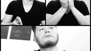 Roger Miller - The Animal of Man guitar and harmonica cover