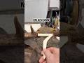 3 Ways to Cape A Deer Head #taxidermy #deerhunter #skinning