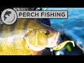 How To Set Up a Lure for Perch Fishing