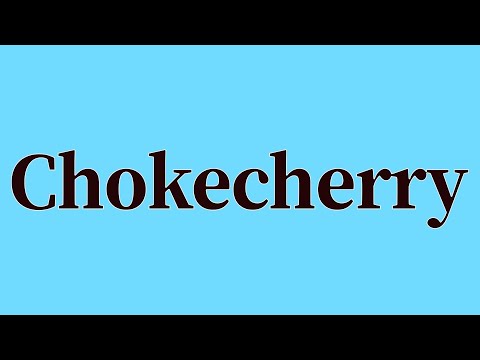 Chokecherry Pronunciation and Meaning