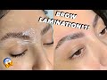 Eyebrow Lamination Before And After Photos