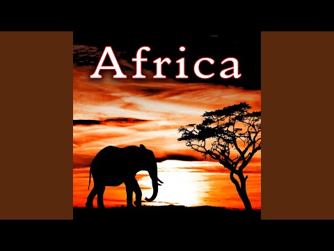 African Jungle Morning Ambience