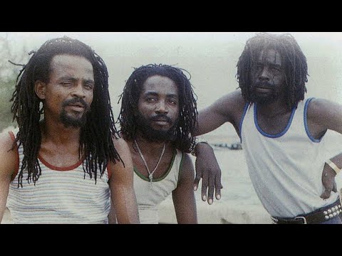 The Viceroys In The Mix #reggae #dub