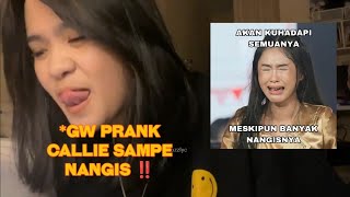 Download lagu STOP IT ALREADY 😭 - Adel pranks Callie moment #jkt48 mp3