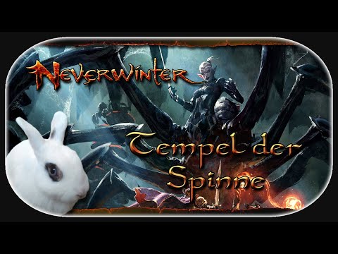 NEVERWINTER: Mod 24 🐇 Neuer Tempel der Spinne Meister [mToS]