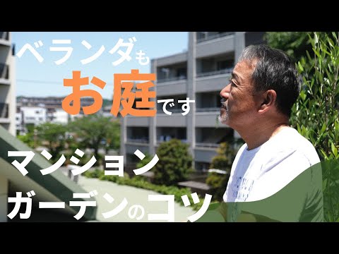 aménagement-de-terrasse-balcon-meubles-végétation