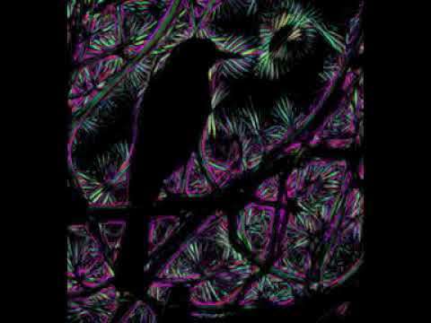 Uno Blank$ x 3May$un - Birds Chirping I'm Feeling Lucky (Prod.BRANiFEST)