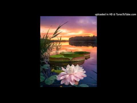 Today's Tango Is... Irupe - Roberto Firpo 19-09-1929