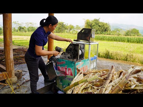 An unexpected incident: The sugarcane press broke down. A tough workday. - Ly Tieu Tuyet