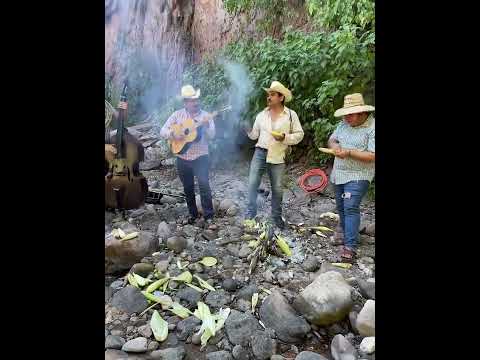 When I go out to the fields - Andres Araújo and his 100% rancher - The Knights - The Colorado del...