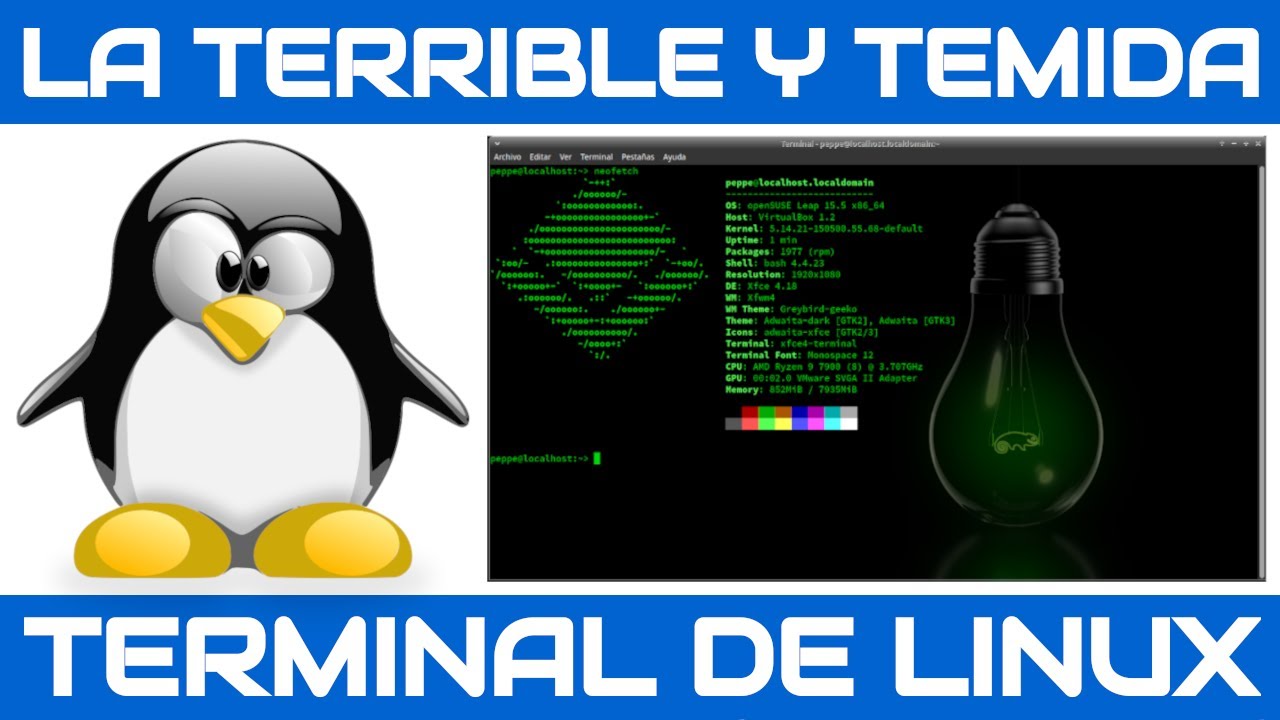 La terminal vs Entorno gráfico