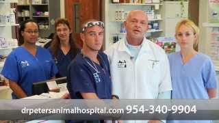 preview picture of video 'Dr. Peter's Animal Hospital - Short | Margate, FL'