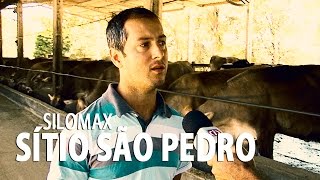 preview picture of video 'Silomax Matsuda Milho (Sítio São Pedro)'