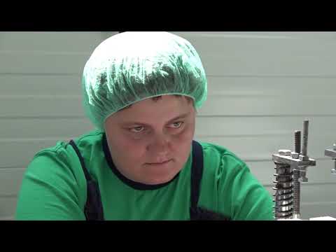 Naša priča ep. 156 17.08.2018. - Specijal - Najlepše priče