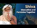 Shiva: The Masculine and Feminine Energy Together