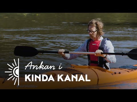 Ankan i Linköping  - Kinda kanal